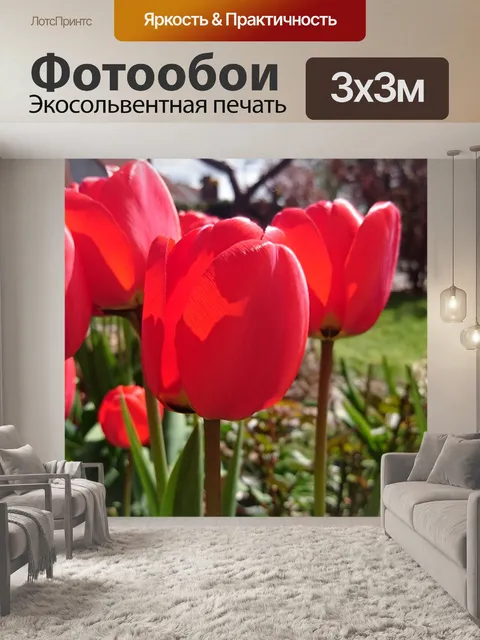 Фотообои Тюльпаны