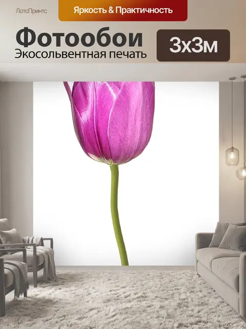 Фотообои Тюльпан