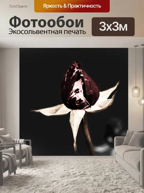 Фотообои Мертвые розы