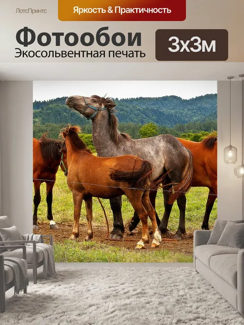 Фотообои Лошади
