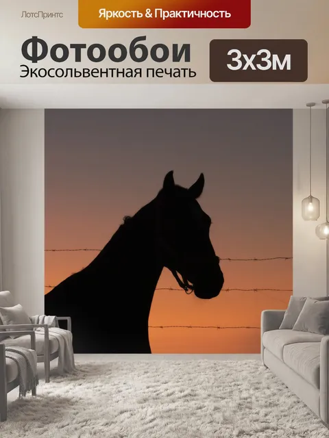 Фотообои Лошадь