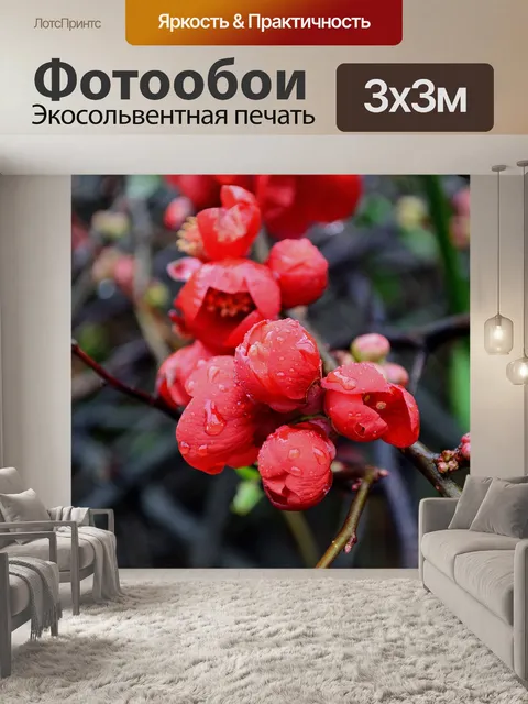 Фотообои Красные бутоны