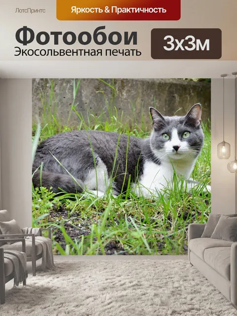 Фотообои Милый