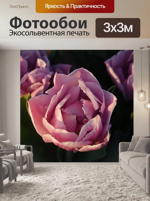 Фотообои Тюльпаны