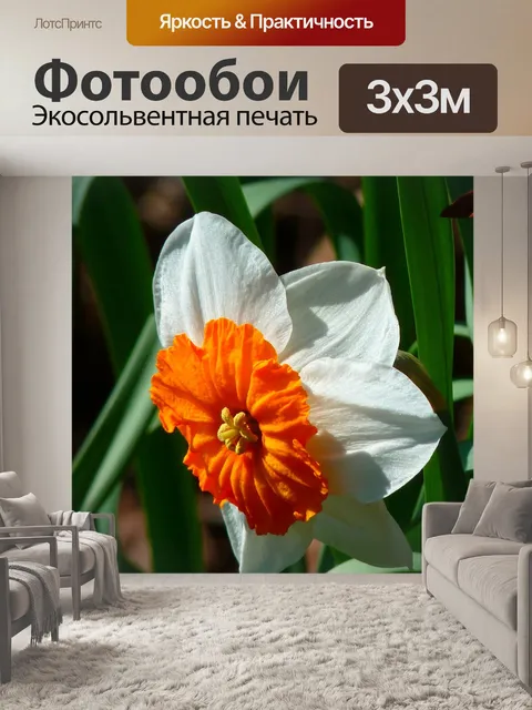 Фотообои Сад