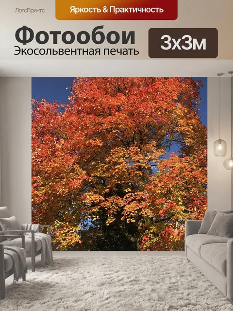 Фотообои Природа