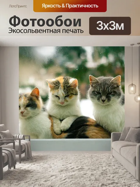 Фотообои Котенок