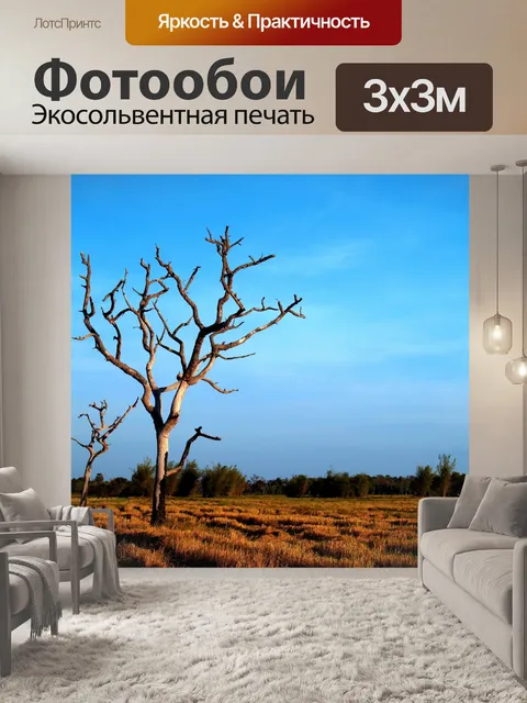 Фотообои Мертвое дерево фона