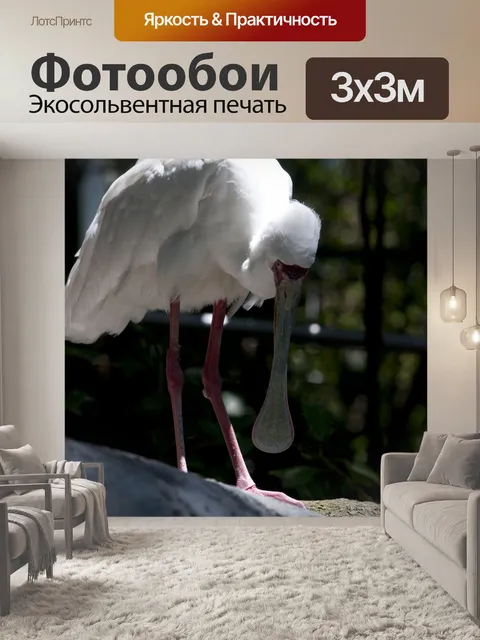 Фотообои Логово-птица