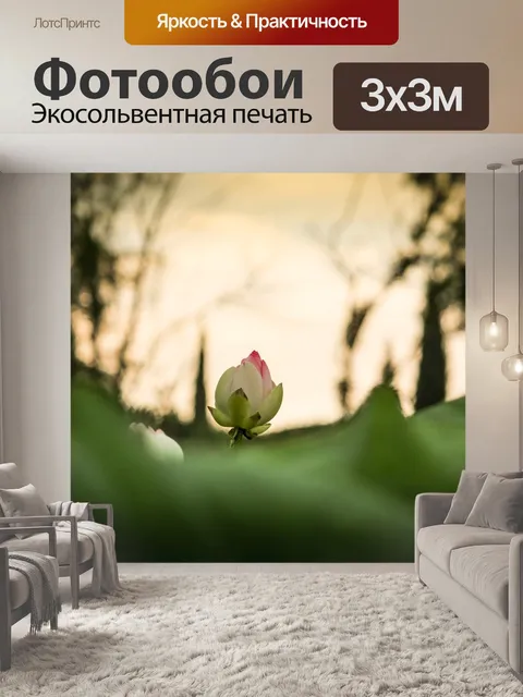 Фотообои Lotus