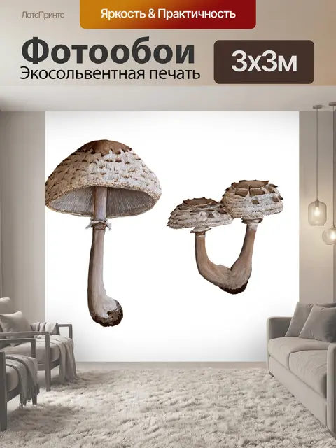 Фотообои Винтажные художественные иллюстрации гри