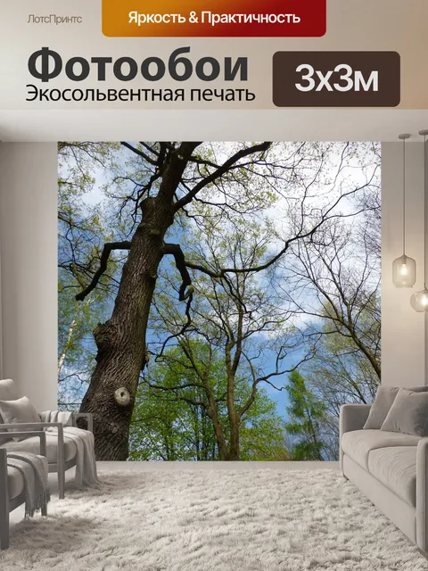 Фотообои Лес
