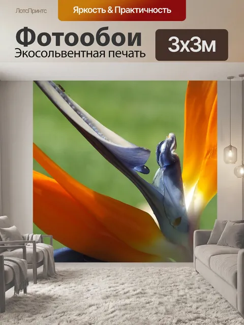 Фотообои Цветок