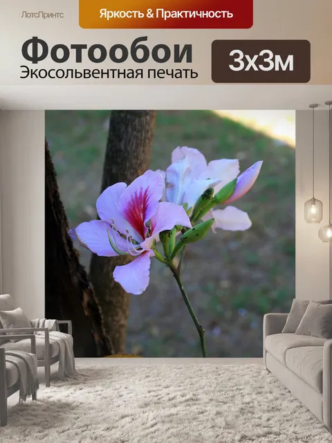 Фотообои верблюжья нога цветок и бутоны