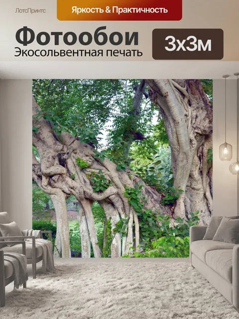 Фотообои Старое большое дерево 1
