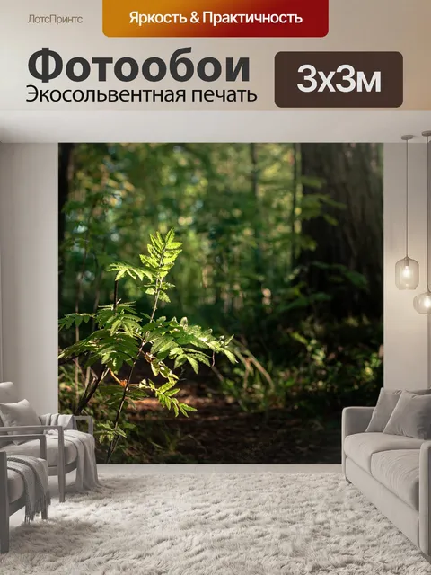 Фотообои Лес