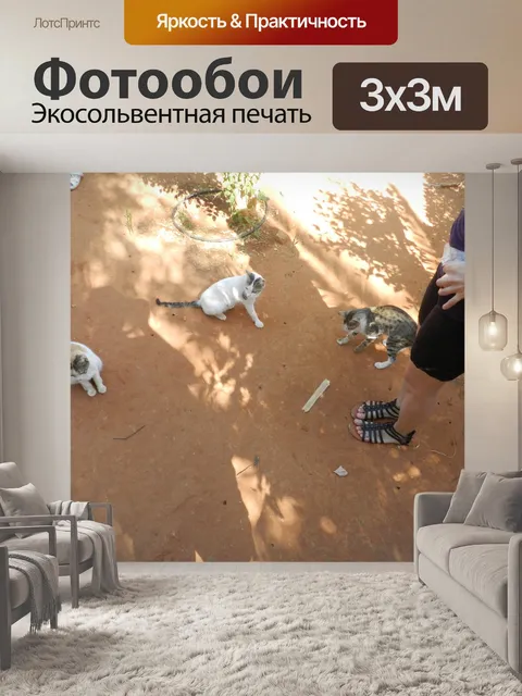 Фотообои Греция 22