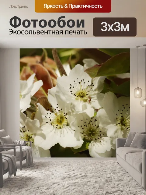 Фотообои Груша цветет весной крупным планом