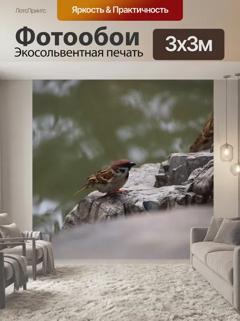 Фотообои Воробей