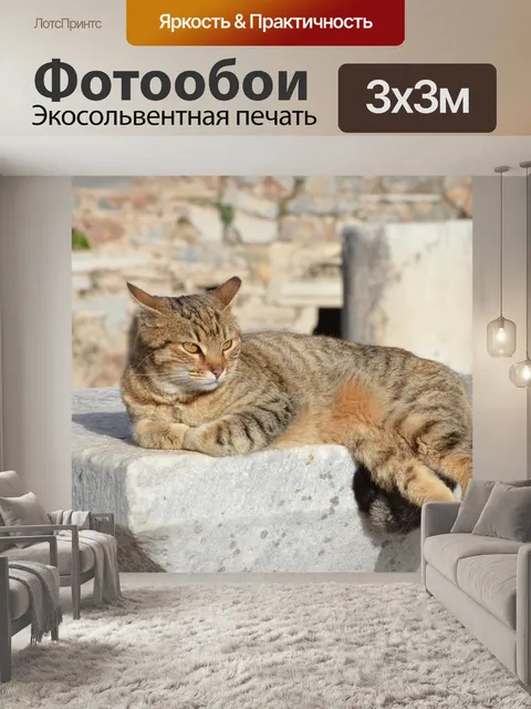 Фотообои Кошка