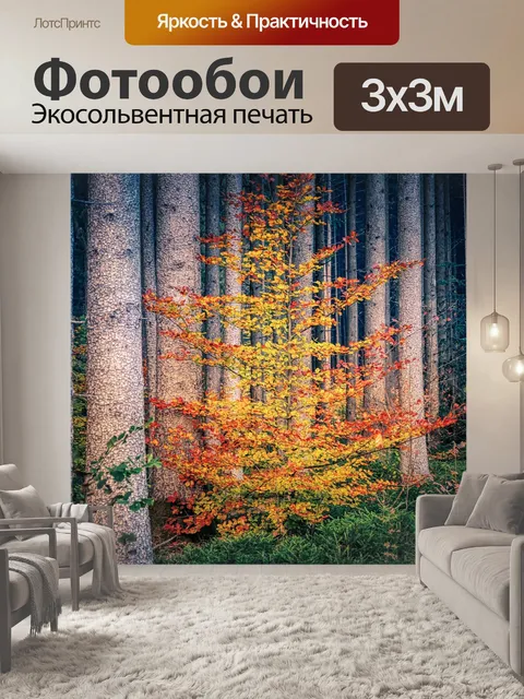 Фотообои Лес