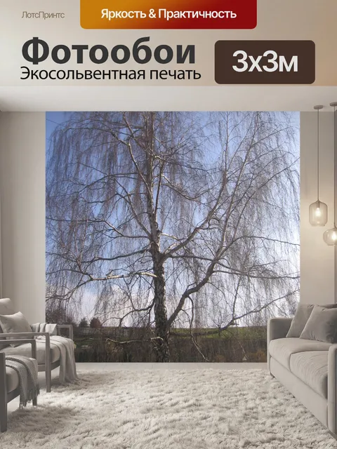 Фотообои Осенние березы