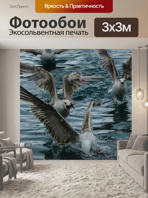 Фотообои Чайки