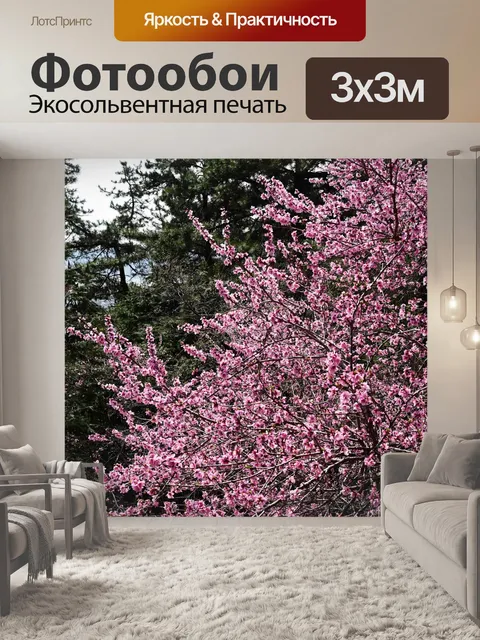 Фотообои Цветы