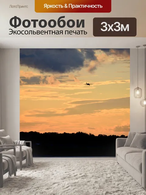 Фотообои Самолет, летевший на закате