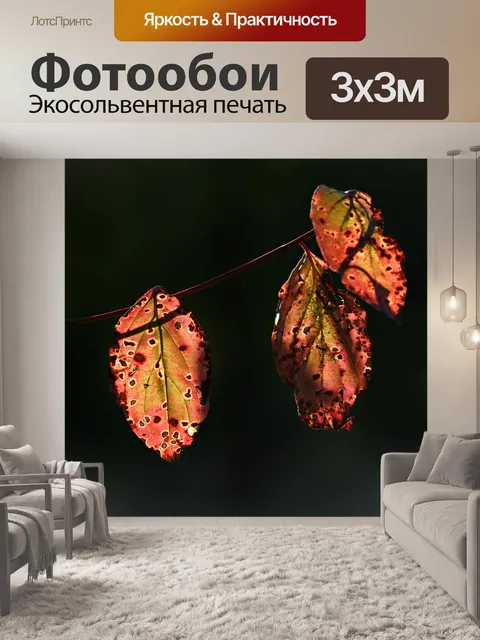 Фотообои Листья