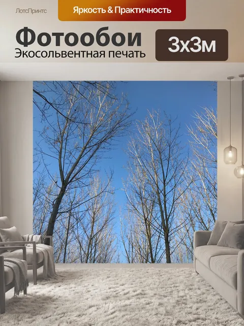 Фотообои Деревья
