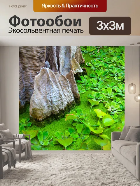 Фотообои водные растения
