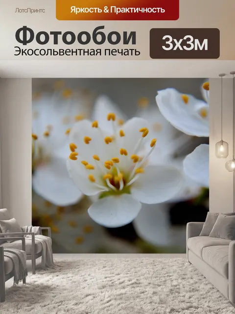 Фотообои белого цветов