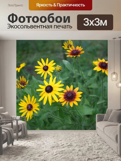 Фотообои Луг