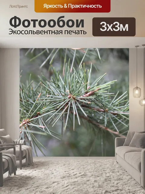 Фотообои Pine