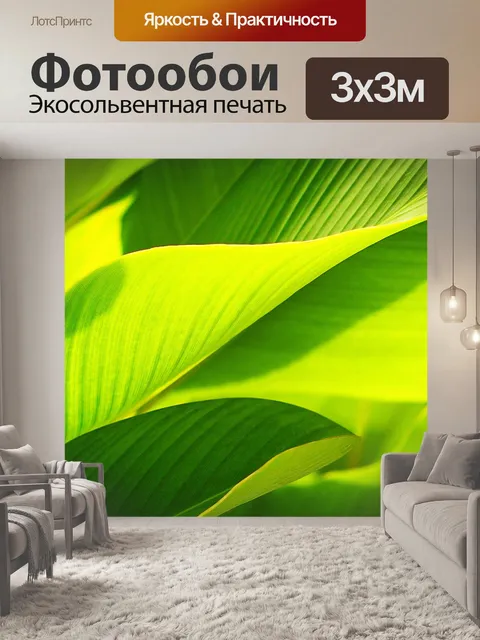 Фотообои Лист