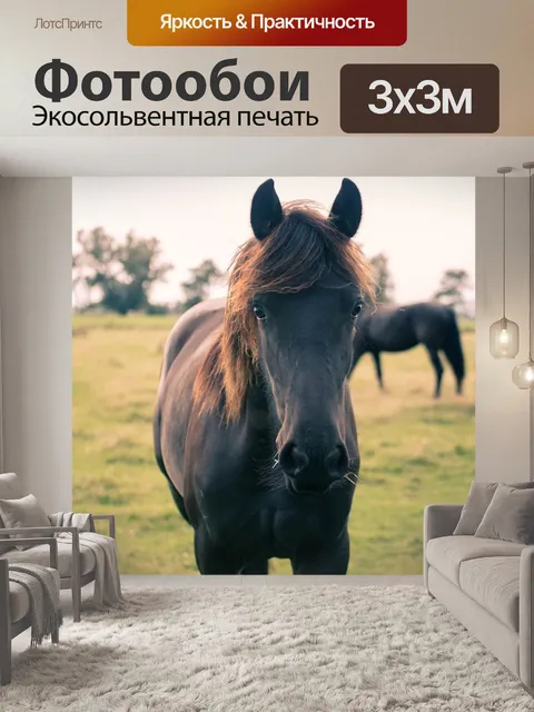 Фотообои Лошадь
