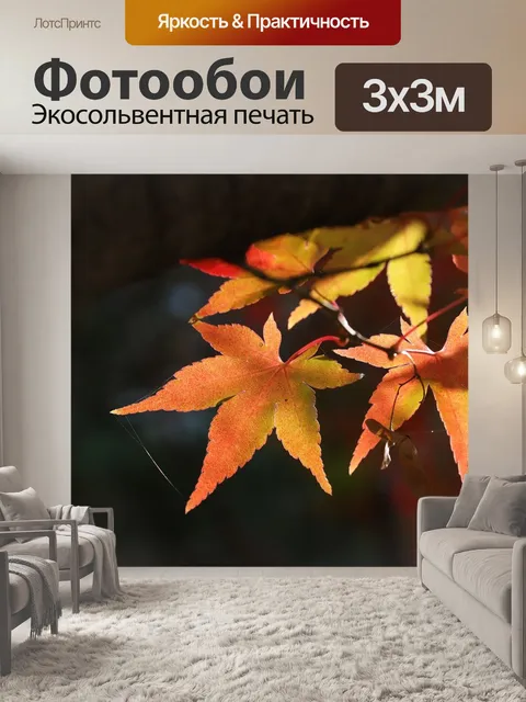 Фотообои Клен