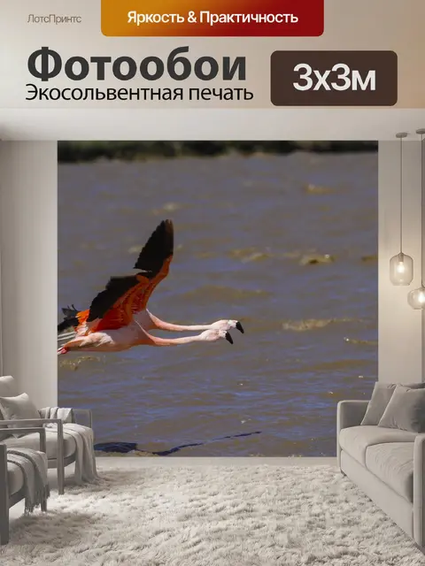Фотообои Фламинго