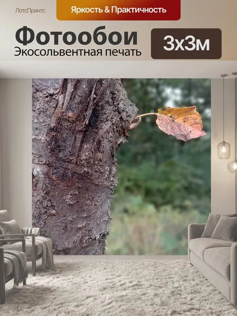 Фотообои Листья