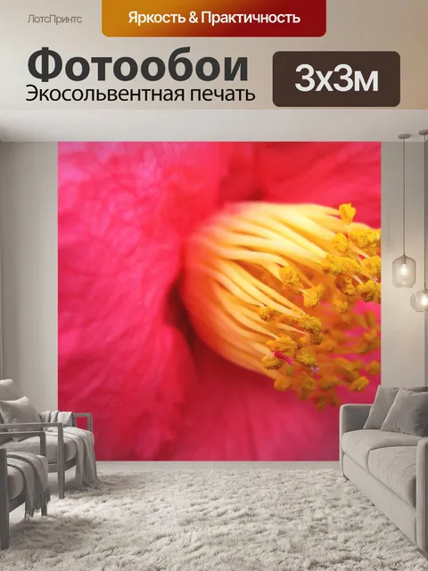 Фотообои Цветок