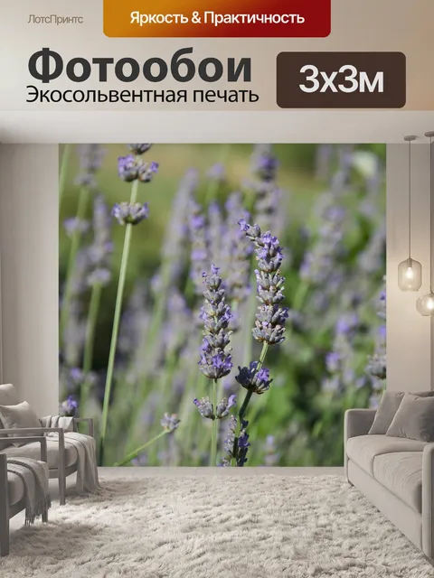 Фотообои Лаванда
