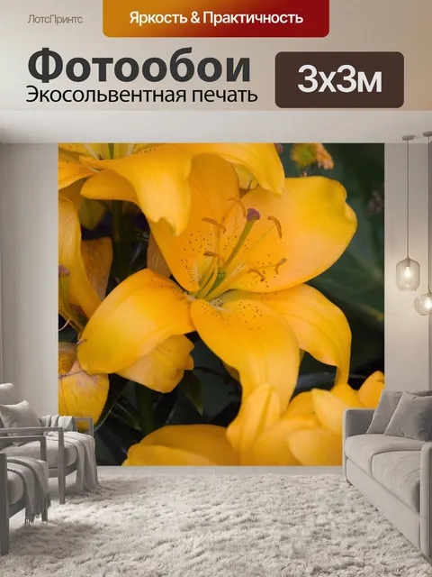 Фотообои Оранжевые цветы лилии