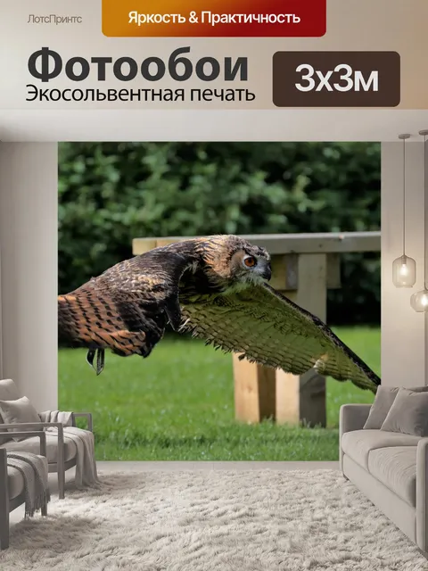 Фотообои Филин