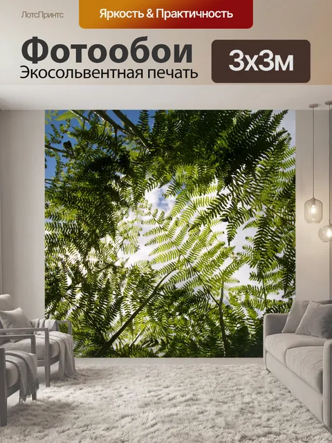 Фотообои папоротник