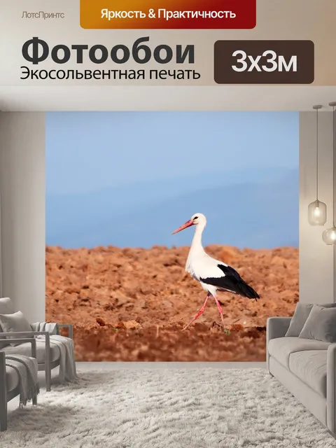 Фотообои Аист
