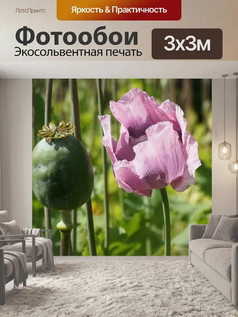 Фотообои Мак