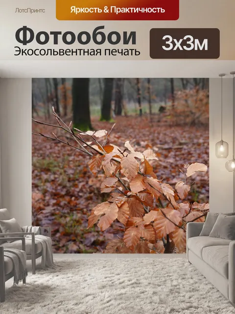 Фотообои Природа