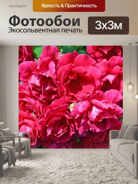 Фотообои Красивый образ с розами