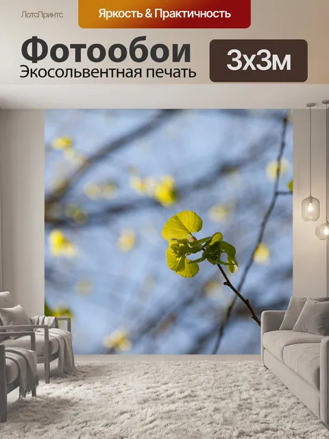 Фотообои Природа